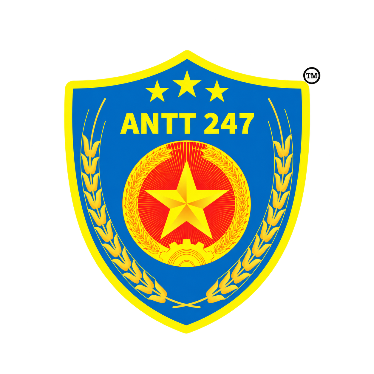 CÔNG TY TNHH ANTT 247