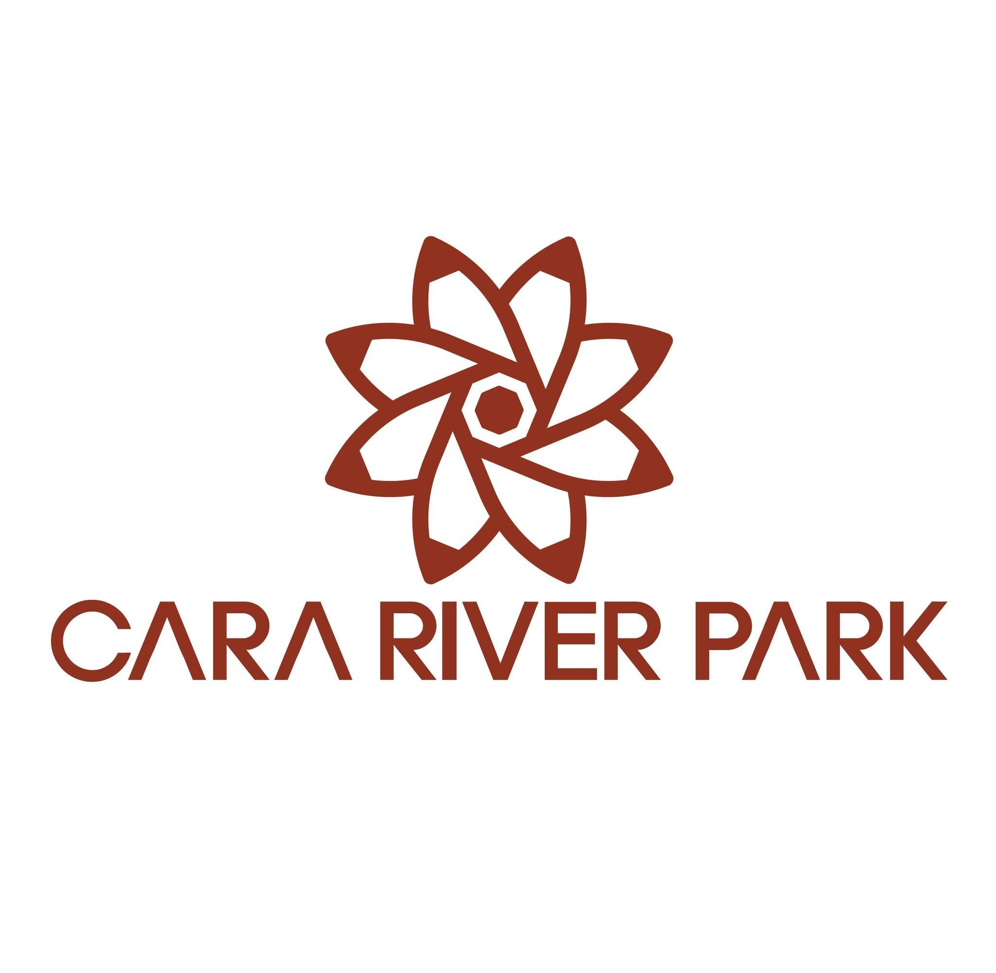 Cara